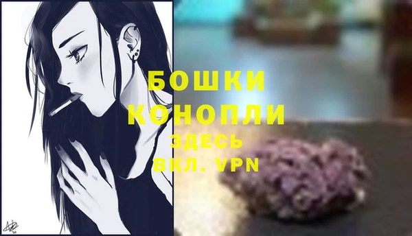 mdpv Новодвинск