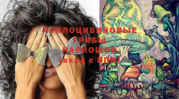 mdpv Новодвинск