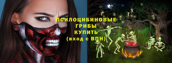 трава Новокубанск